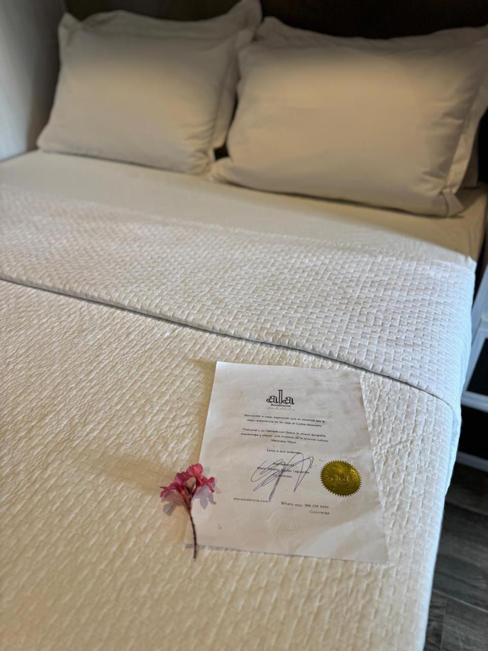 Hotel "Ala Residencias" Chetumal Luaran gambar